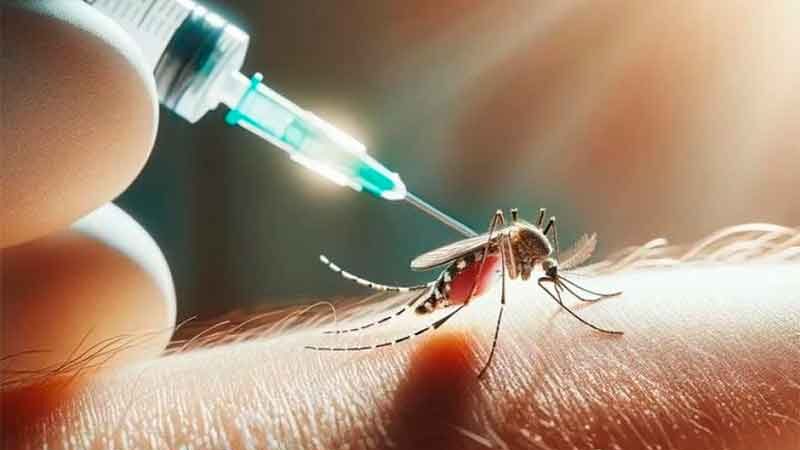 HELVECIA, CAYASTÁ Y SANTA ROSA DE CALCHINES REFUERZAN LA LUCHA CONTRA EL DENGUE
